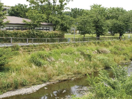 野川pic